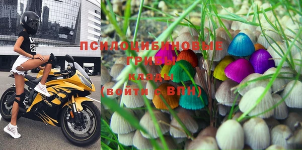 дживик Навашино
