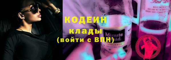 прущие грибы Михайлов
