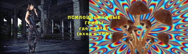 хмурый Наволоки
