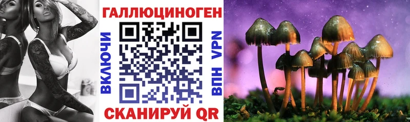 Галлюциногенные грибы Cubensis  где купить наркоту  Новая Усмань 